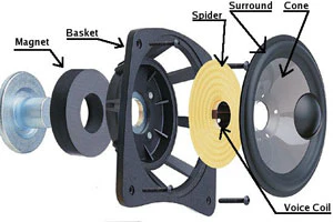 Breakdown Diagram of an Audio Bass